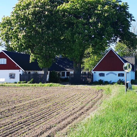 Knappagarden Glemminge المظهر الخارجي الصورة
